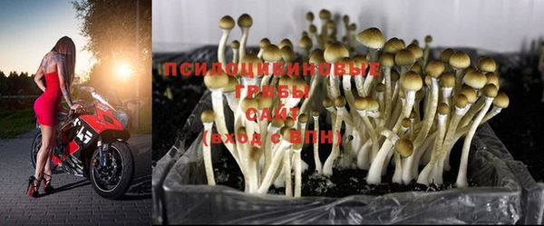 кристаллы Бородино