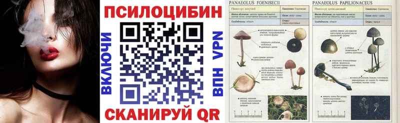 наркошоп  Дигора  Галлюциногенные грибы мухоморы 