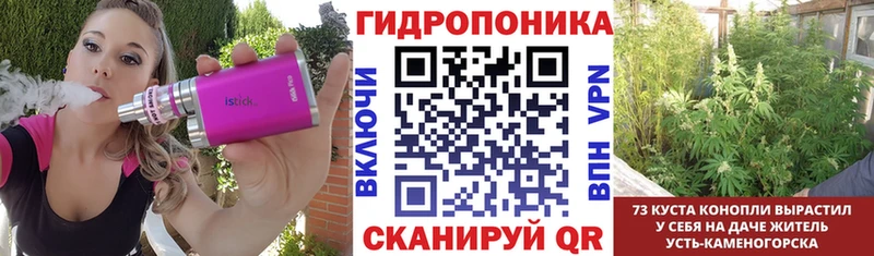 Конопля White Widow  MEGA рабочий сайт  Дигора 